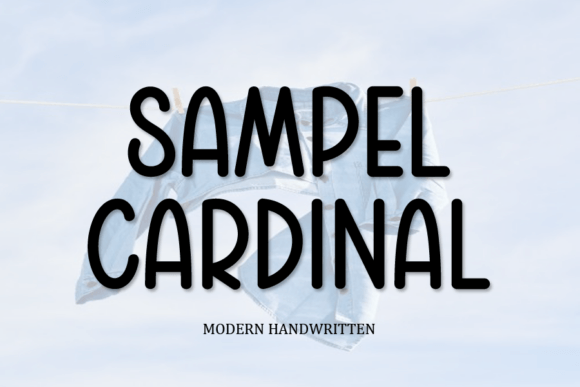 Sampel Cardinal: The Quirky Display Font for Modern Digital Brands